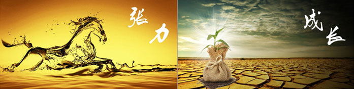 企業(yè)發(fā)展要學(xué)會(huì)取他人之長(zhǎng)、補(bǔ)自己之短